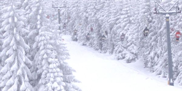 Foto Mirosława Poncyliusz1