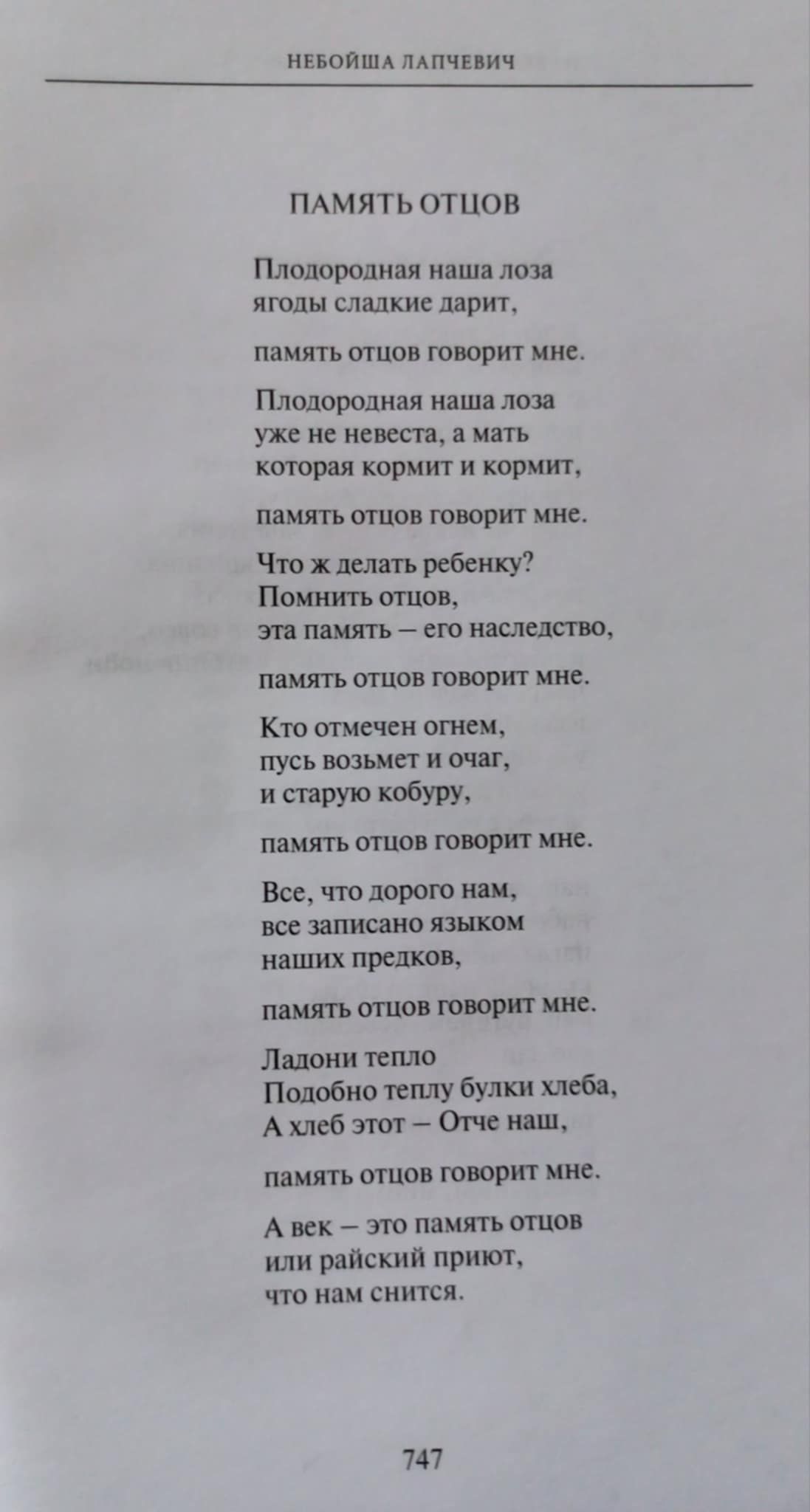NEBOJSA4