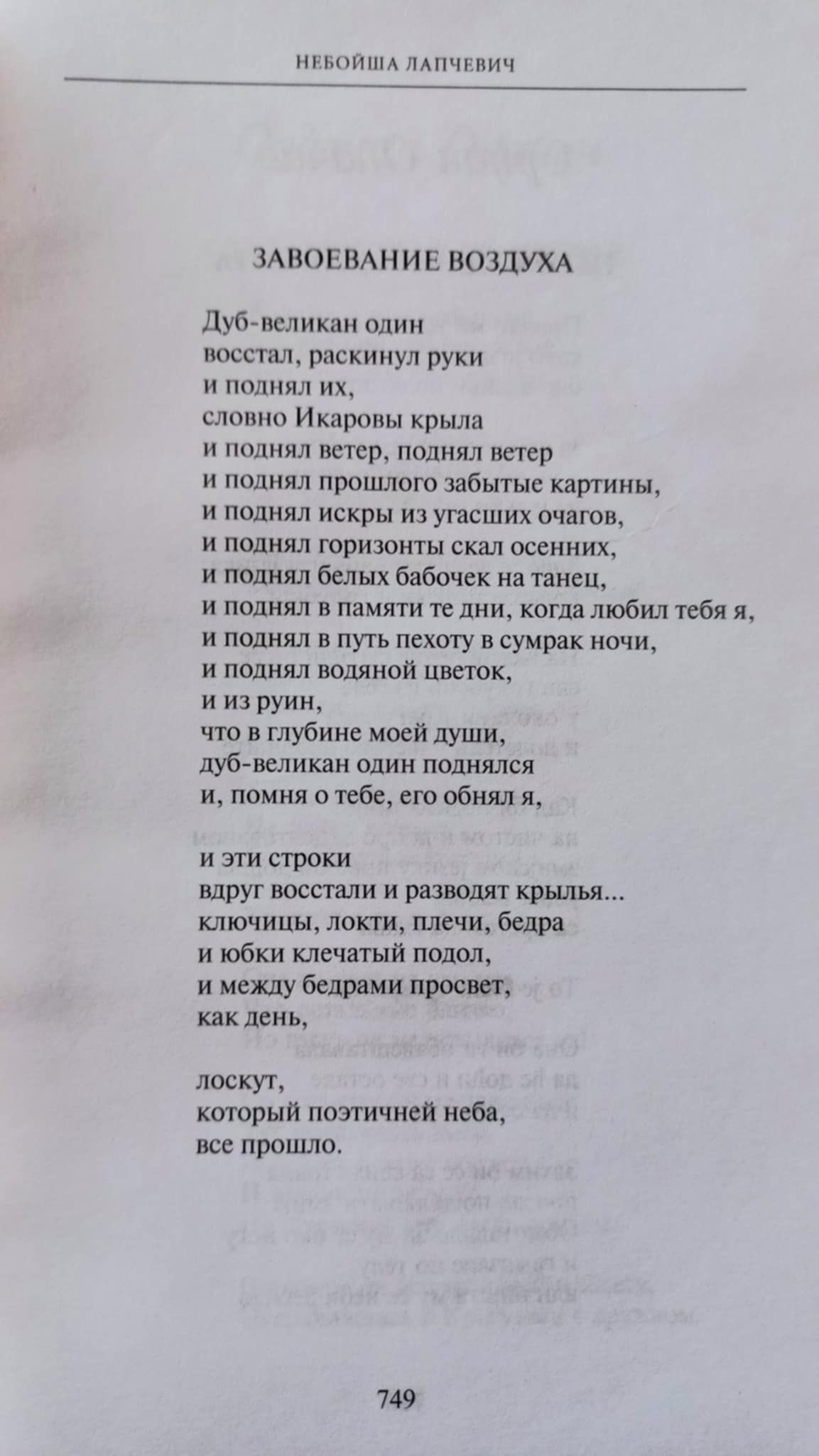 NEBOJSA7